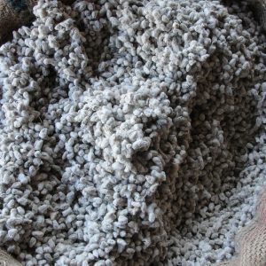 Alternative view of Cotton Oilcake